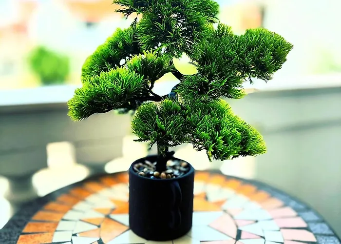 דירה Deluxe זאדאר